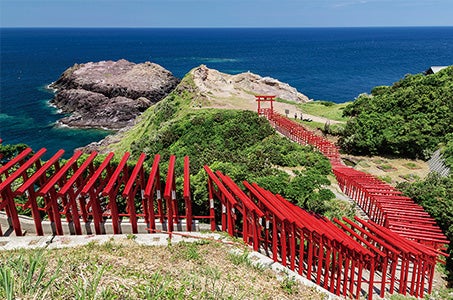 【博多発着/GW出発】山口絶景名所と仙崎産サザエのつぼ焼き食べ放題(40分) 日帰り2